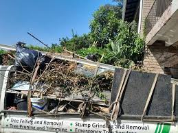 Retail Junk Removal in Blue Ridge, GA