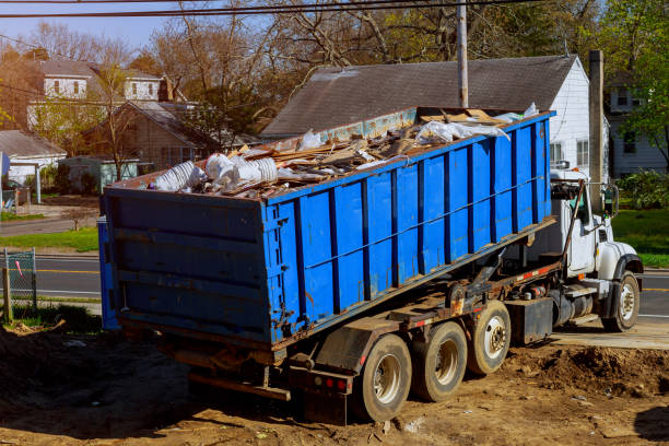 Best Basement Cleanout  in Blue Ridge, GA