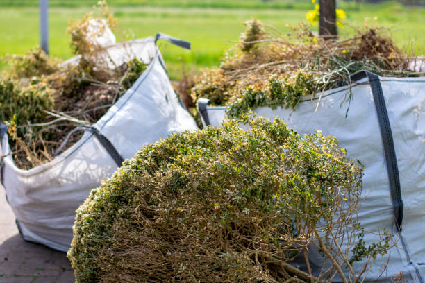 Best Recycling Services for Junk  in Blue Ridge, GA