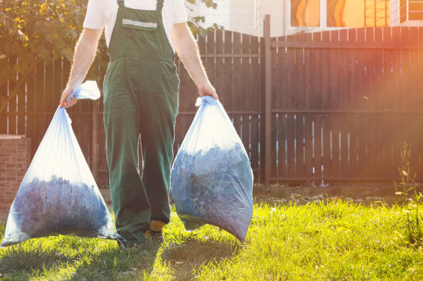 Best Moving and Downsizing Cleanouts  in Blue Ridge, GA
